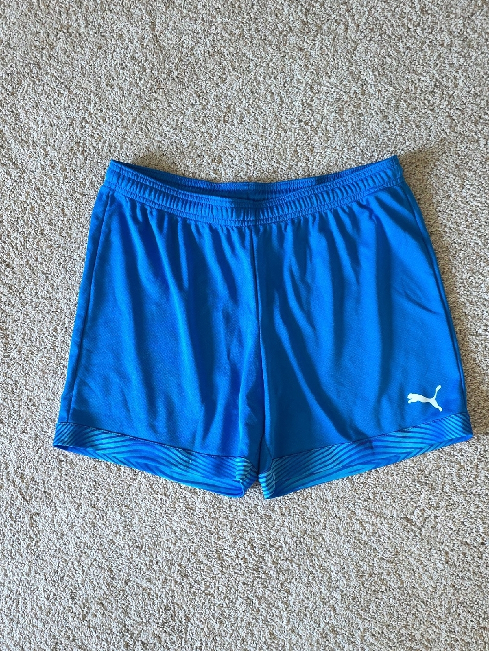 Puma Gym Shorts